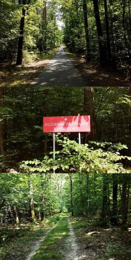 Agroturystyka u Izabelli Niemce Zewnętrze zdjęcie